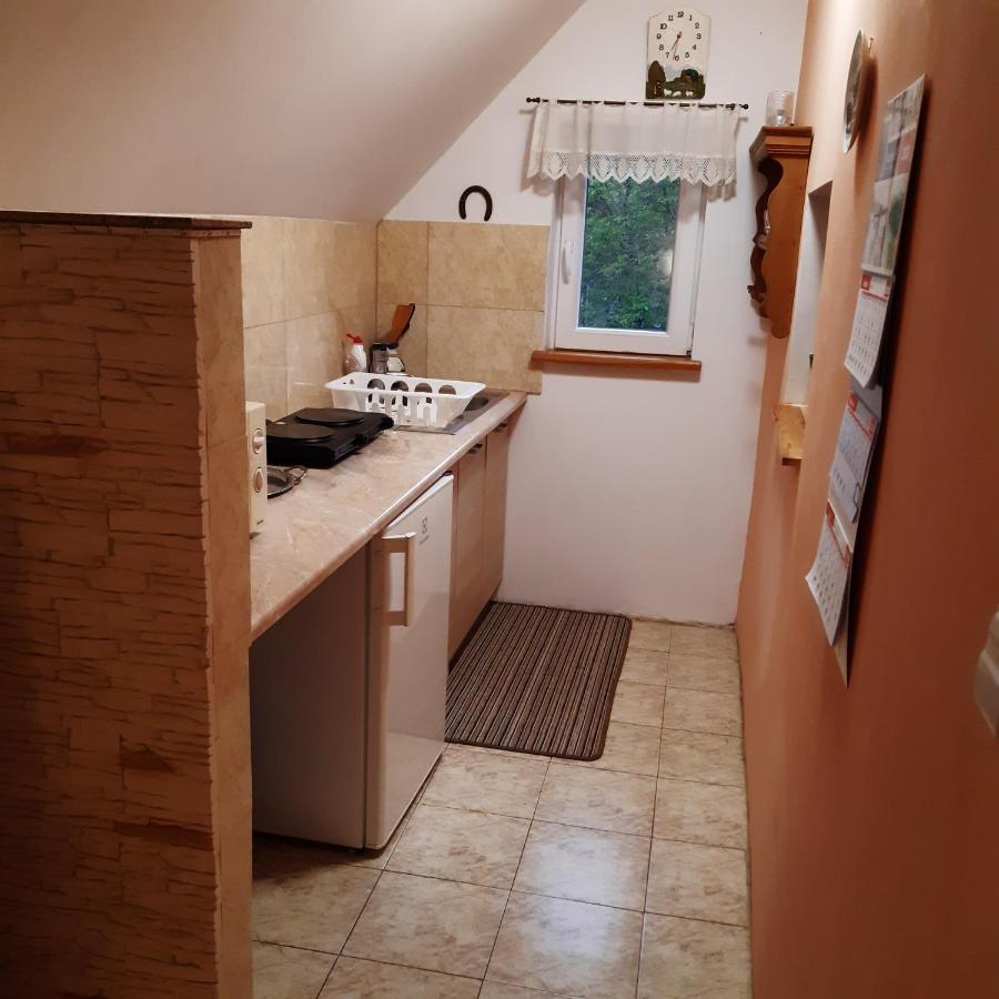 Agroturystyka Brzozowe Wzgorze Wlen Extérieur photo